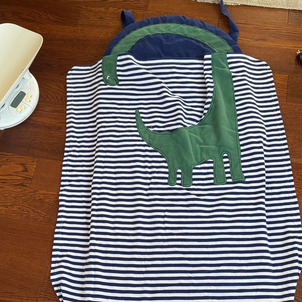 Pottery Barn Kids Striped Dinosaur Sleeping Bag